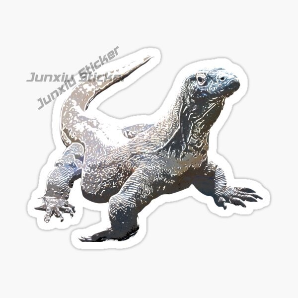 Komodo National Park Komodo Is - Car Accessories Bali recensie en prijs