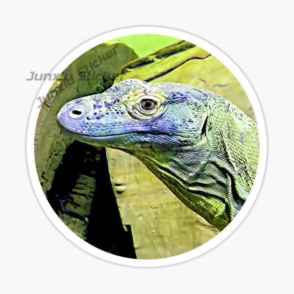 Komodo National Park Komodo Is - Car Accessories Bali recensie en prijs